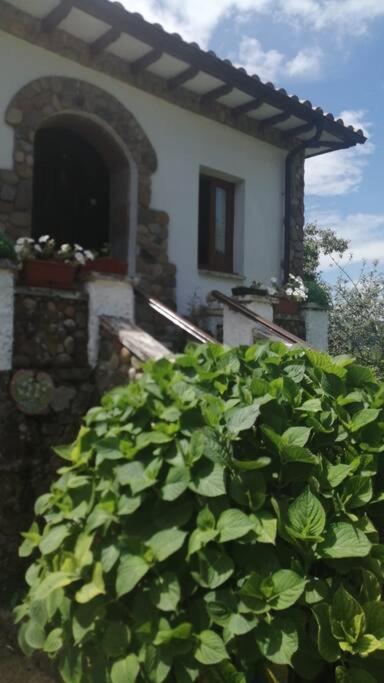 Apartamento En Casa Rural Con Amplio Jardin A 5 Min De La Playa Situacion Inmejorable La Riera  외부 사진