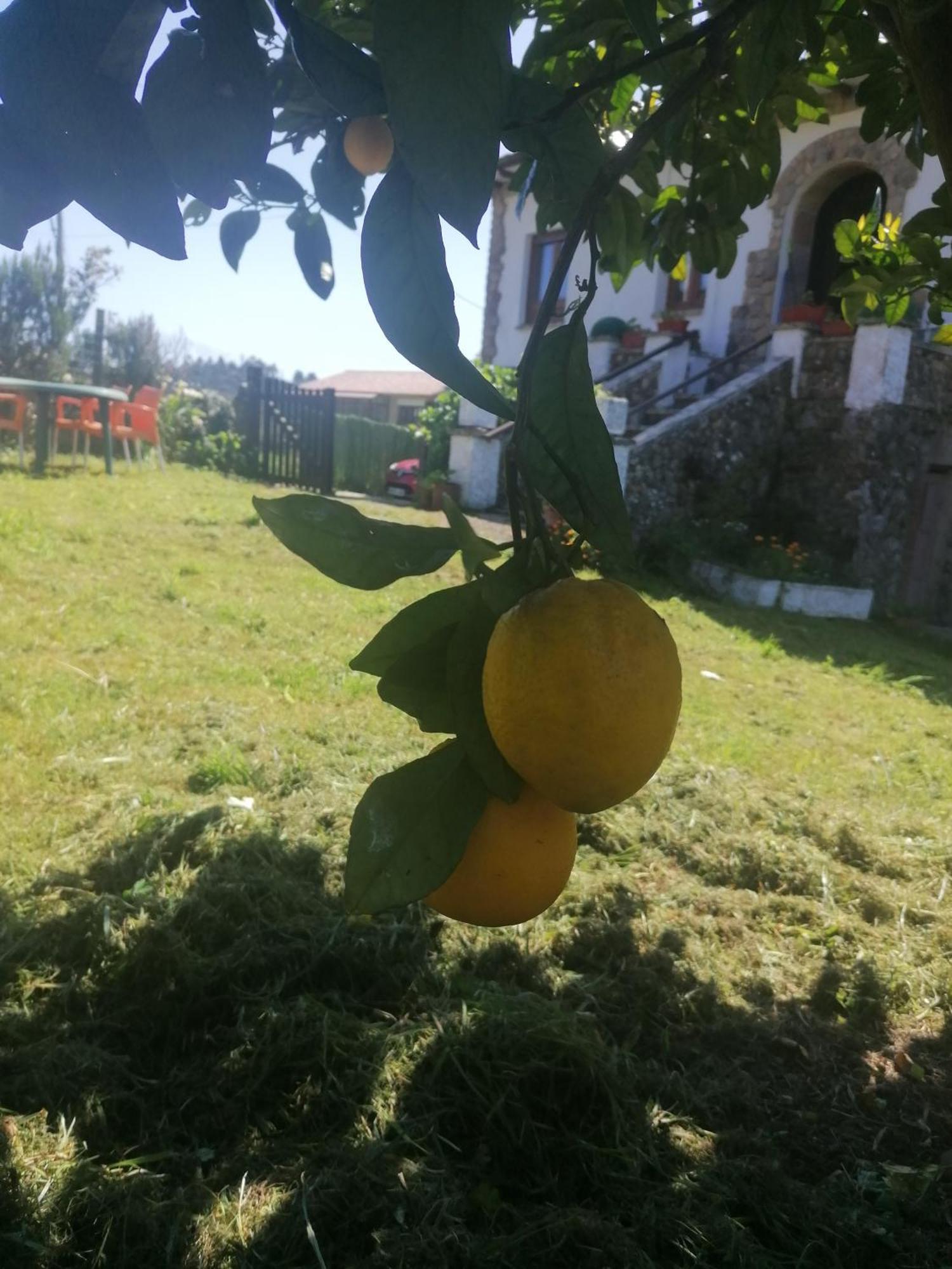 Apartamento En Casa Rural Con Amplio Jardin A 5 Min De La Playa Situacion Inmejorable La Riera  외부 사진